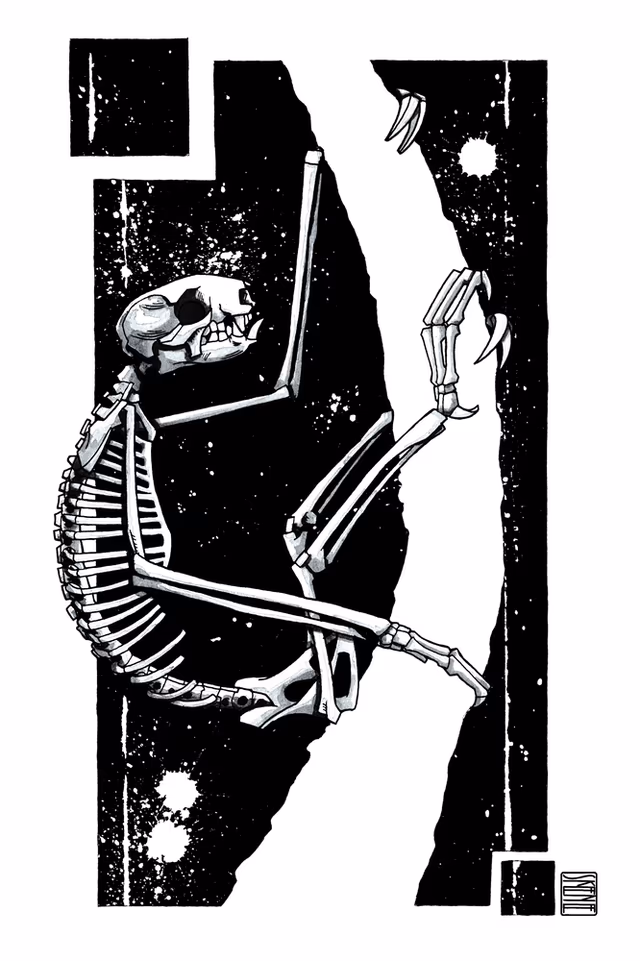 Sloth Skeleton Study