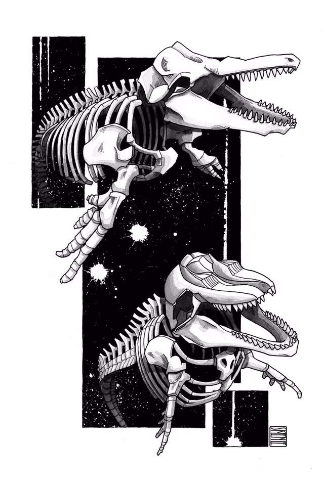Orca Skeletons Study