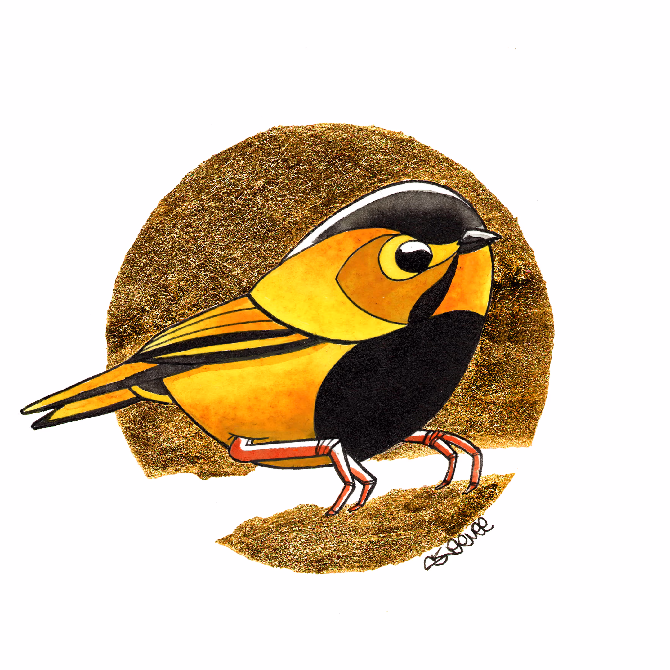 Fulvetta