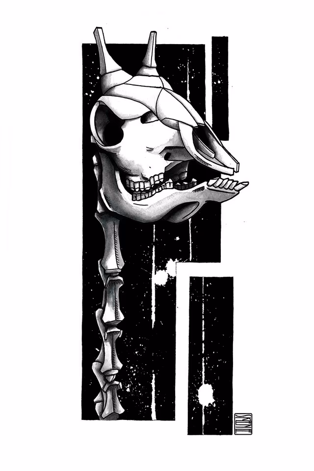 Giraffe Skull Study