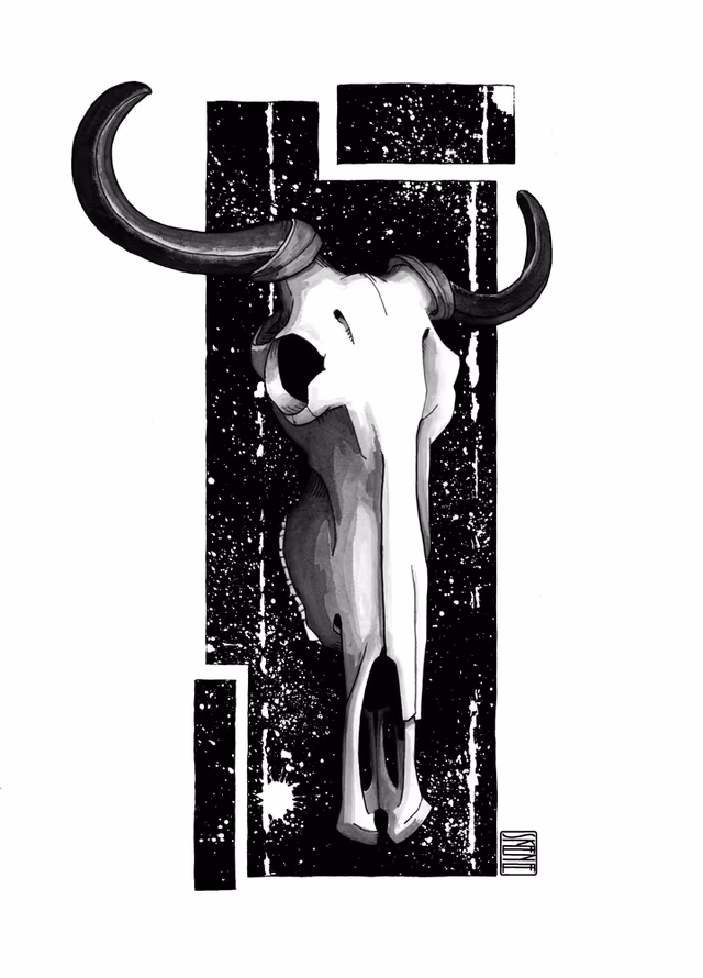 Wildebeest Skull Study