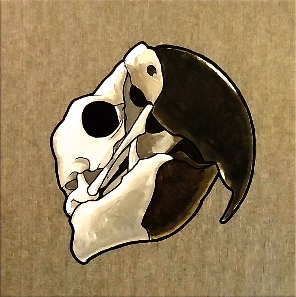 Parrot Skull