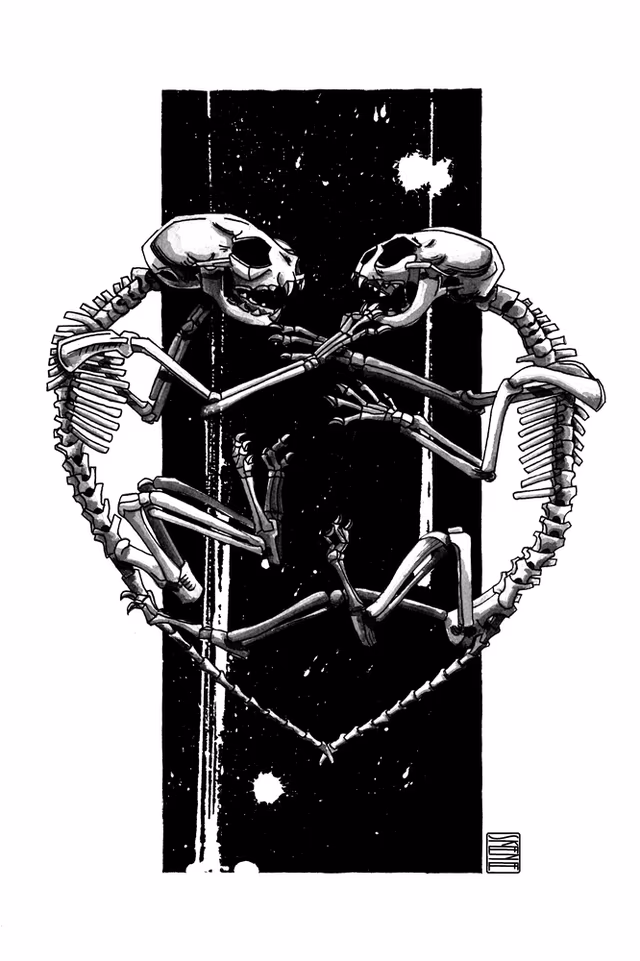 Kitten Skeletons Study