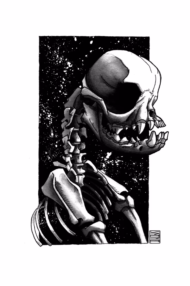 Pug Skeleton Study