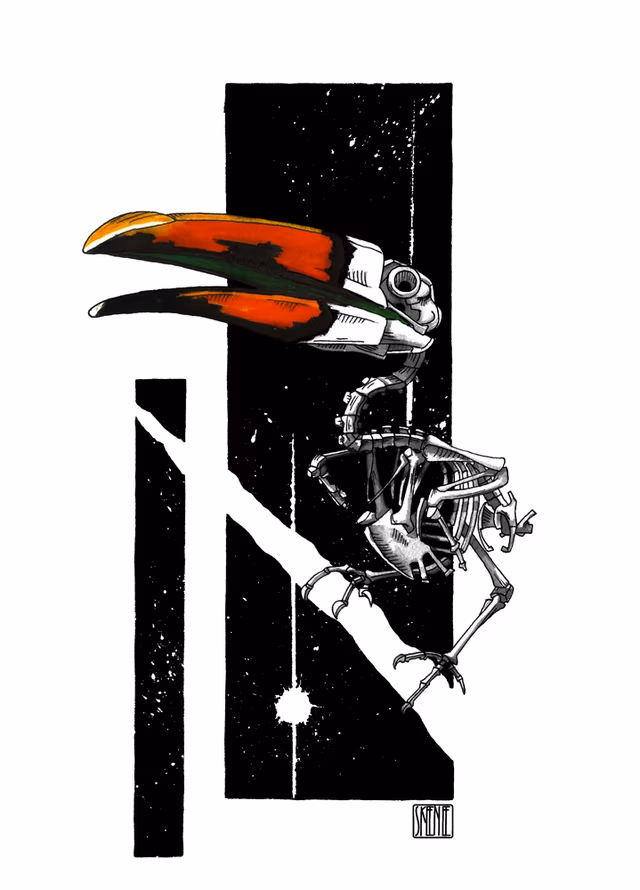 Toucan Skeleton Study
