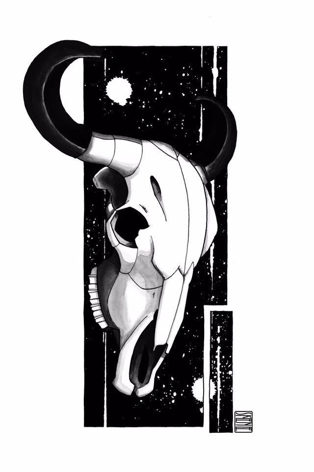 Buffalo Skull Study