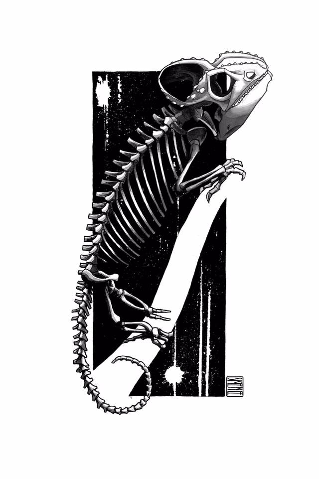 Chameleon Skeleton Study