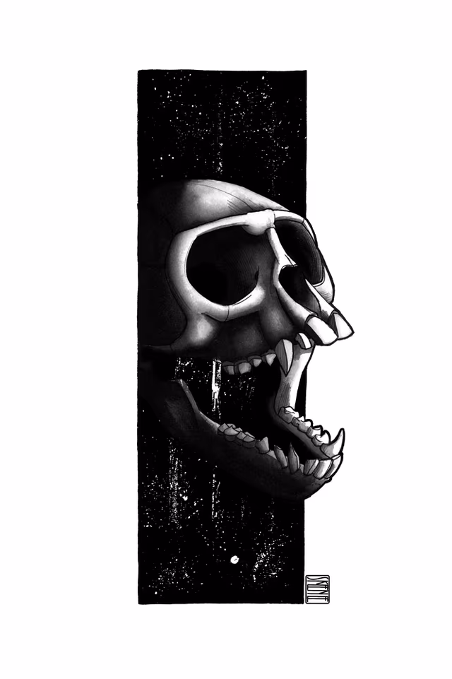 Monkey Skull Study