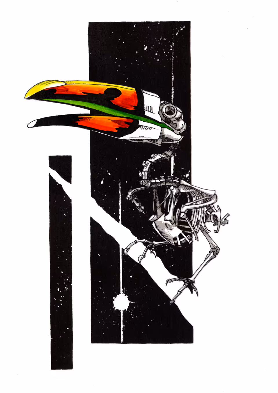 Toucan Skeleton | NFT + ART