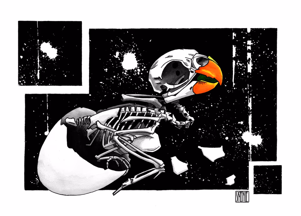 Baby Parakeet Skeleton Study