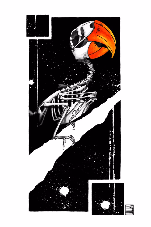 Parrot Skeleton Study