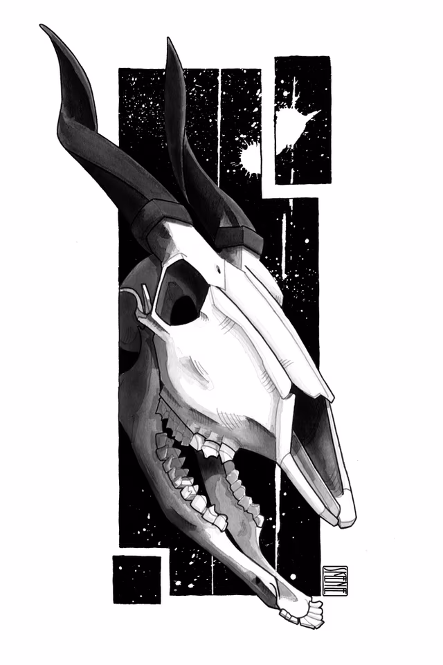 Bongo Skull Study