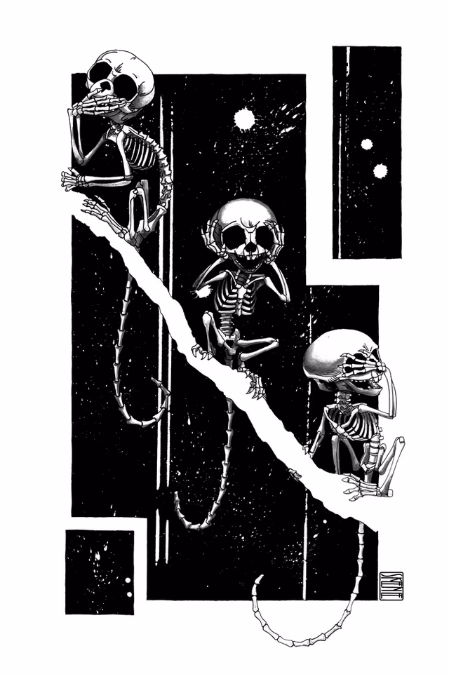 "The 3 Wise Marmosets", Marmoset Skeletons Study